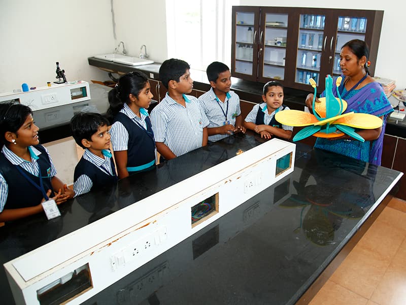SSV gallery photo